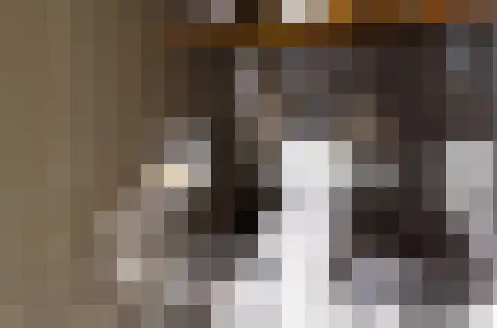 Molenstraat 30 Vriezenveen thumbnail 5
