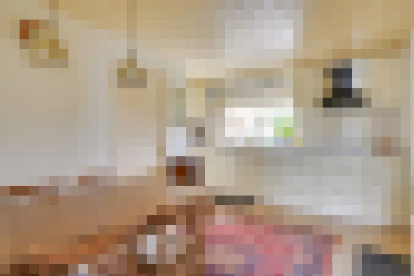 Molenstraat 30 Wanroij thumbnail 21