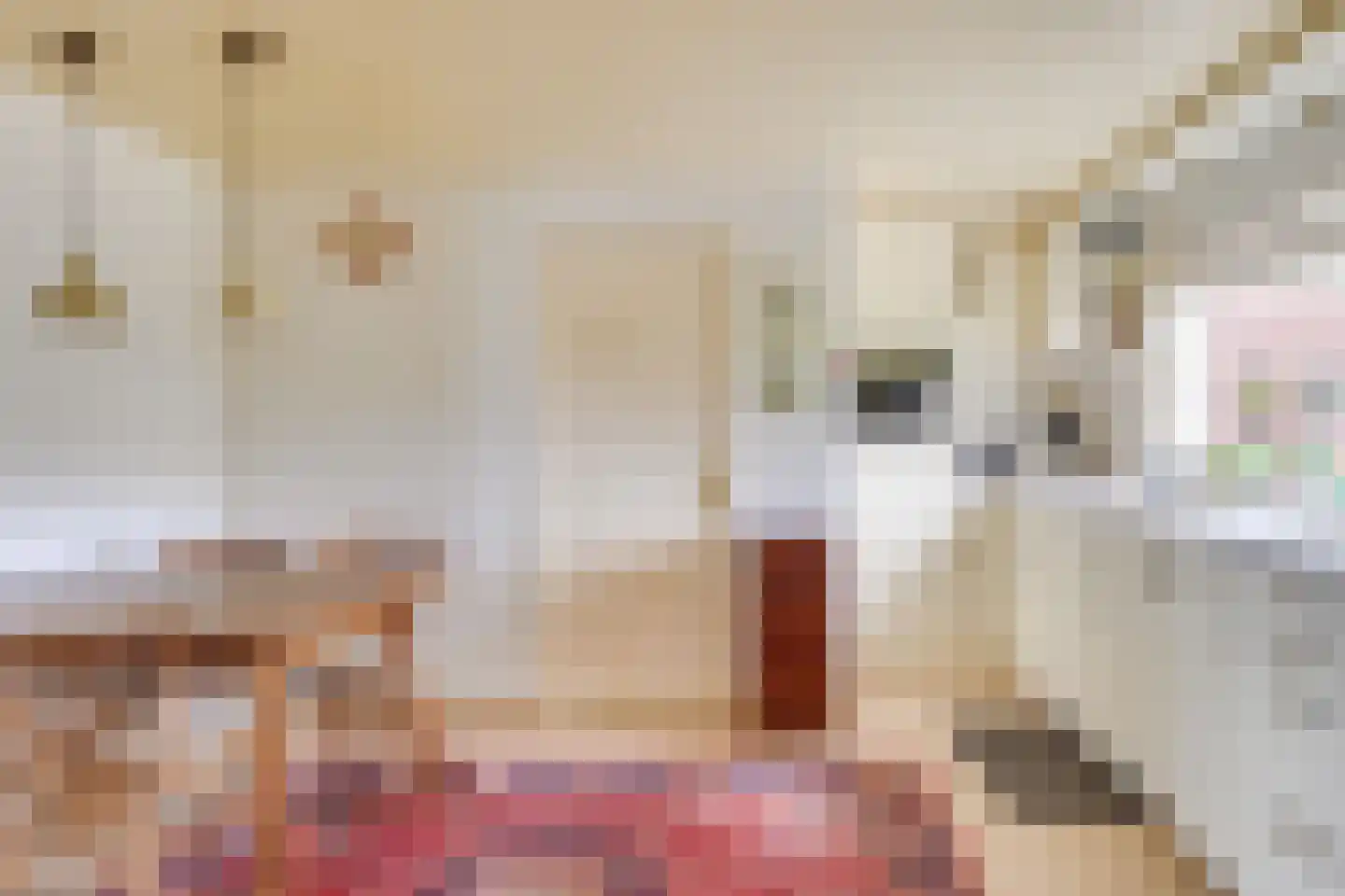 Molenstraat 30 Wanroij thumbnail 22