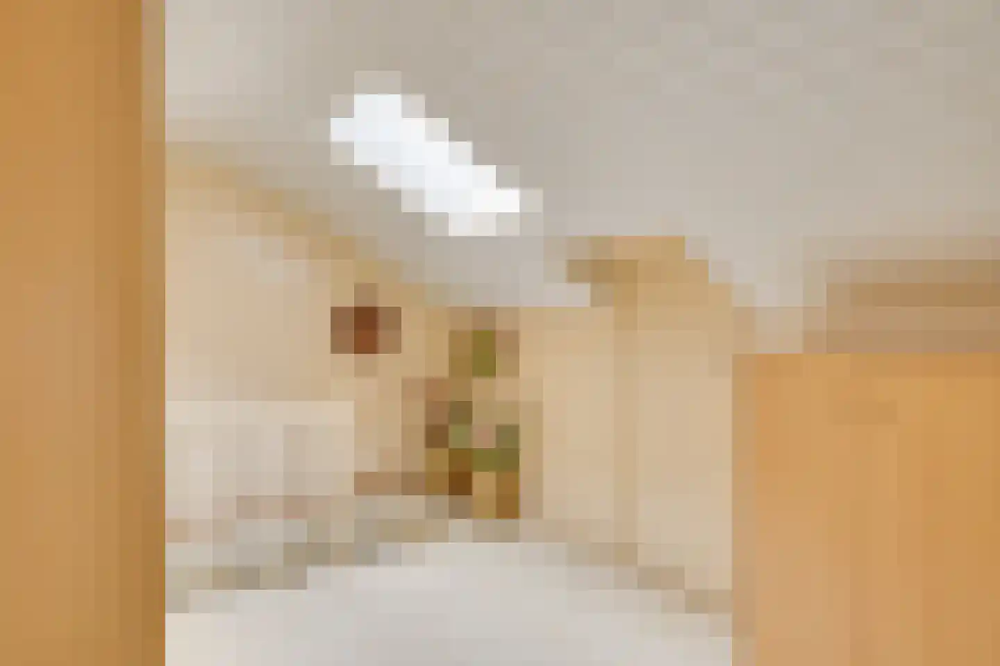 Molenstraat 30 Wanroij thumbnail 26