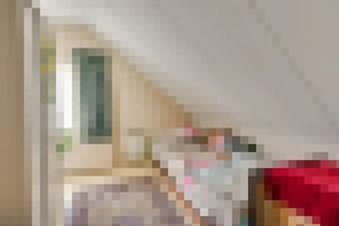Molenstraat 30 Wanroij thumbnail 30