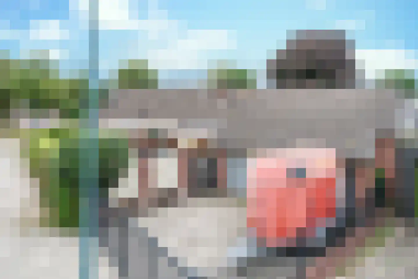 Molenstraat 30 Wanroij thumbnail 4
