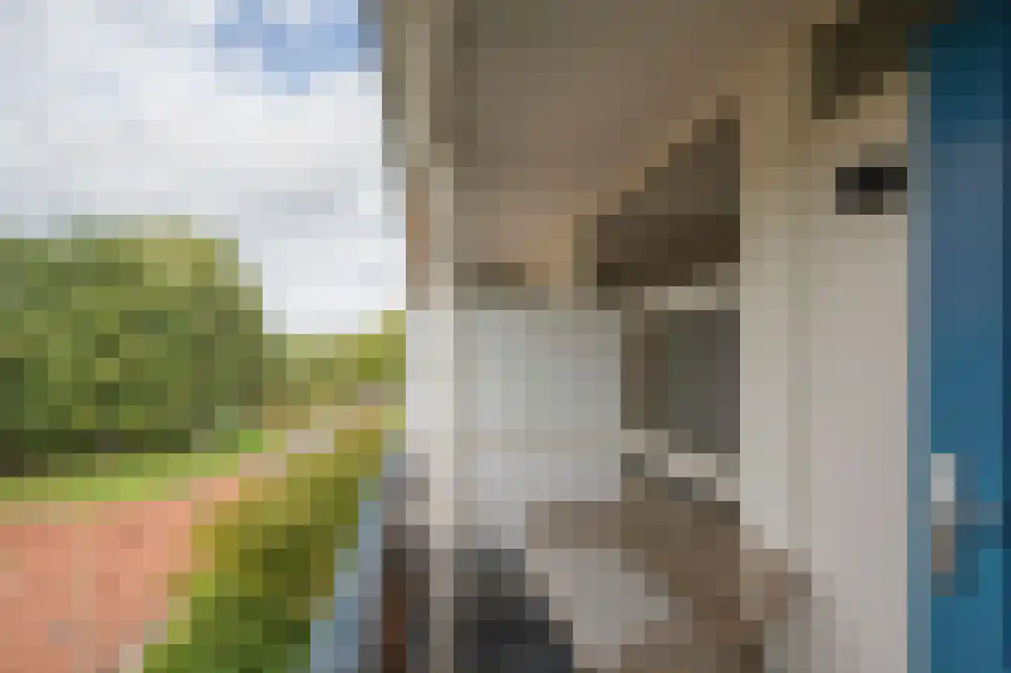 Molenstraat 300 Assen thumbnail 17