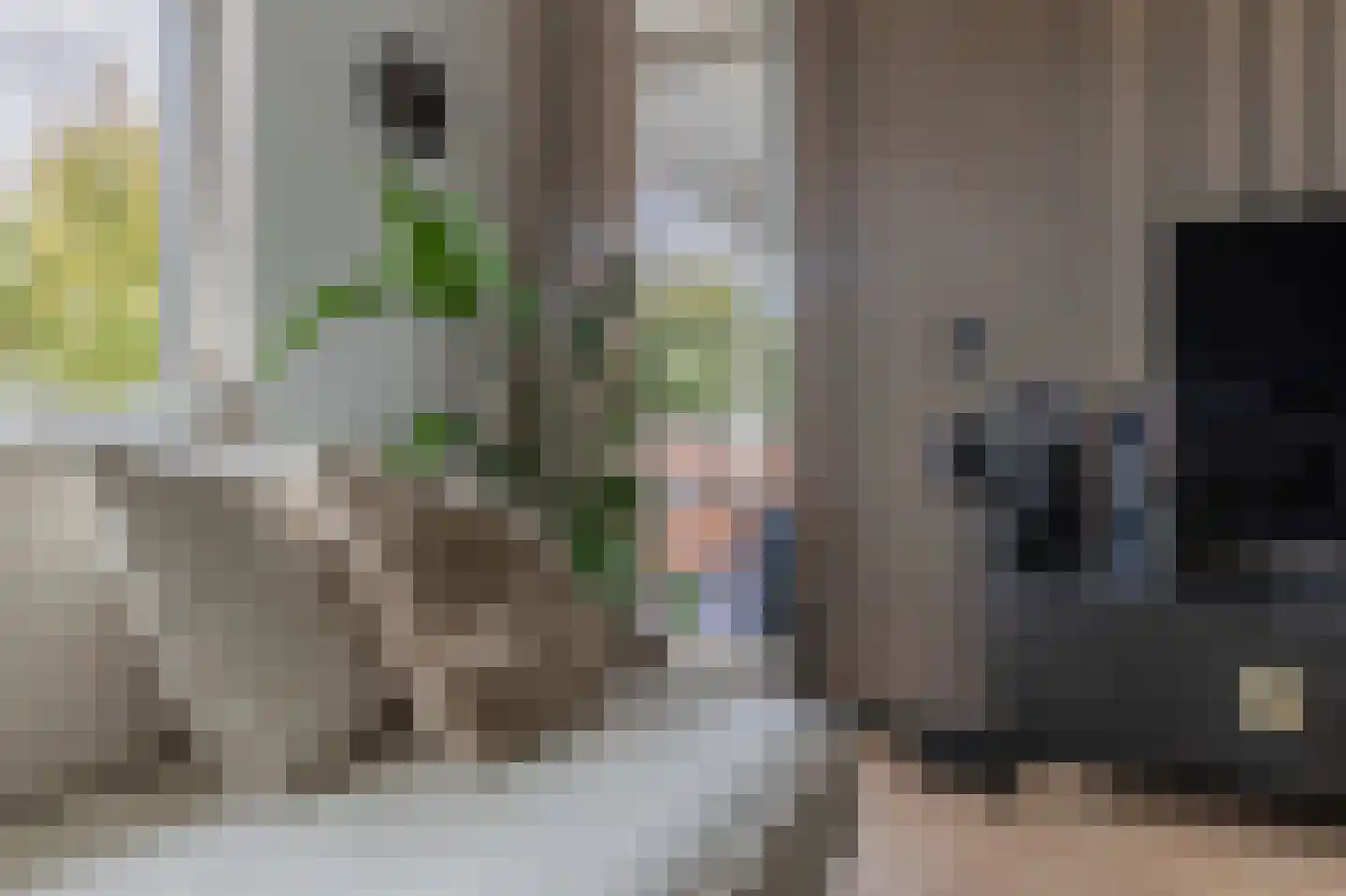 Molenstraat 300 Assen thumbnail 23