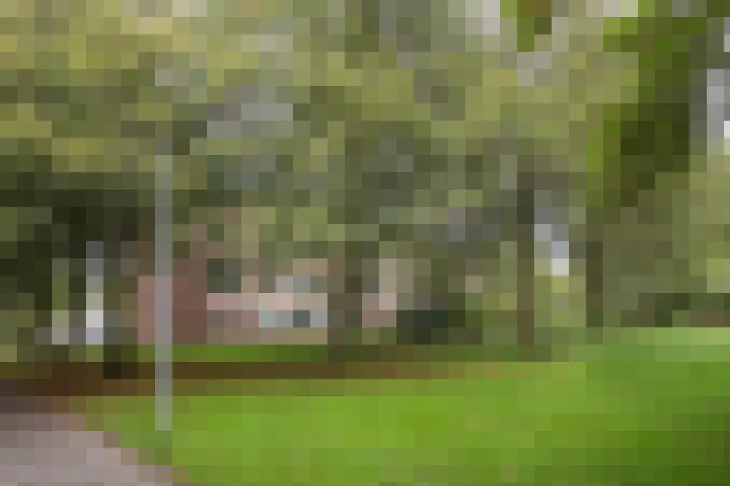 Molenstraat 300 Assen thumbnail 33
