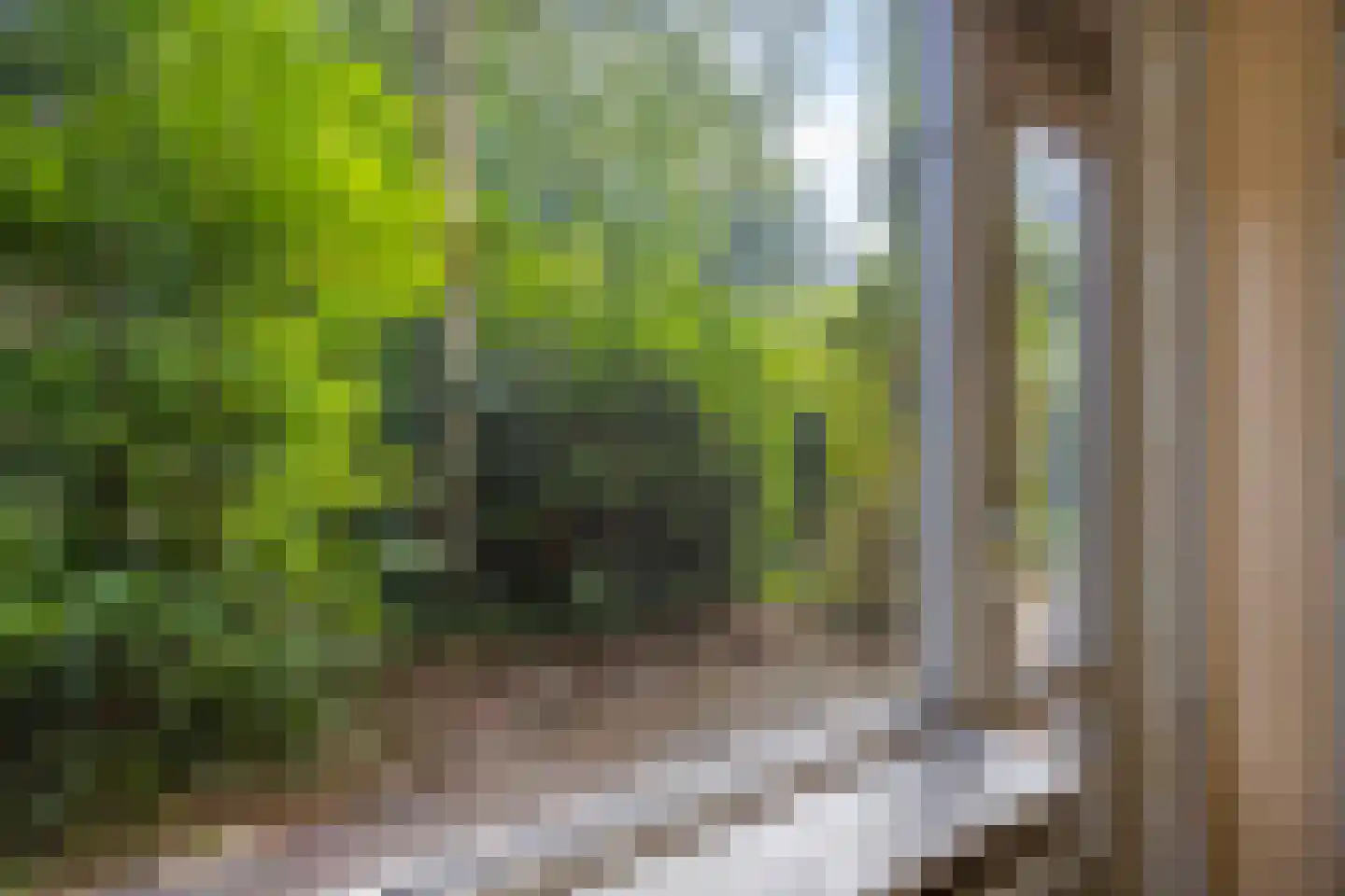 Molenstraat 304 Assen thumbnail 19
