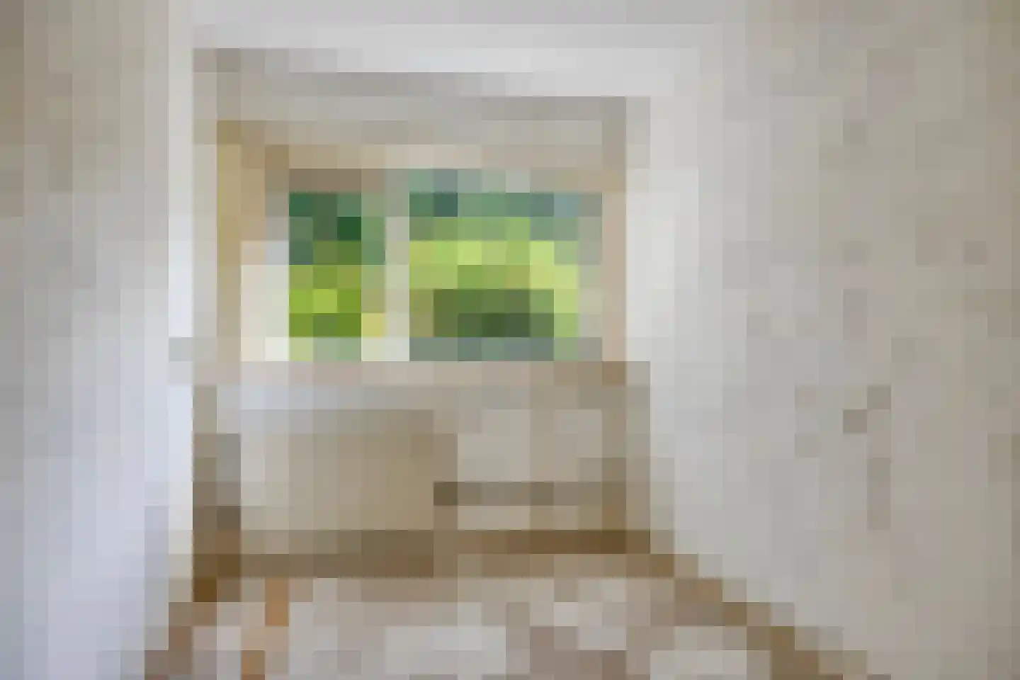 Molenstraat 304 Assen thumbnail 26