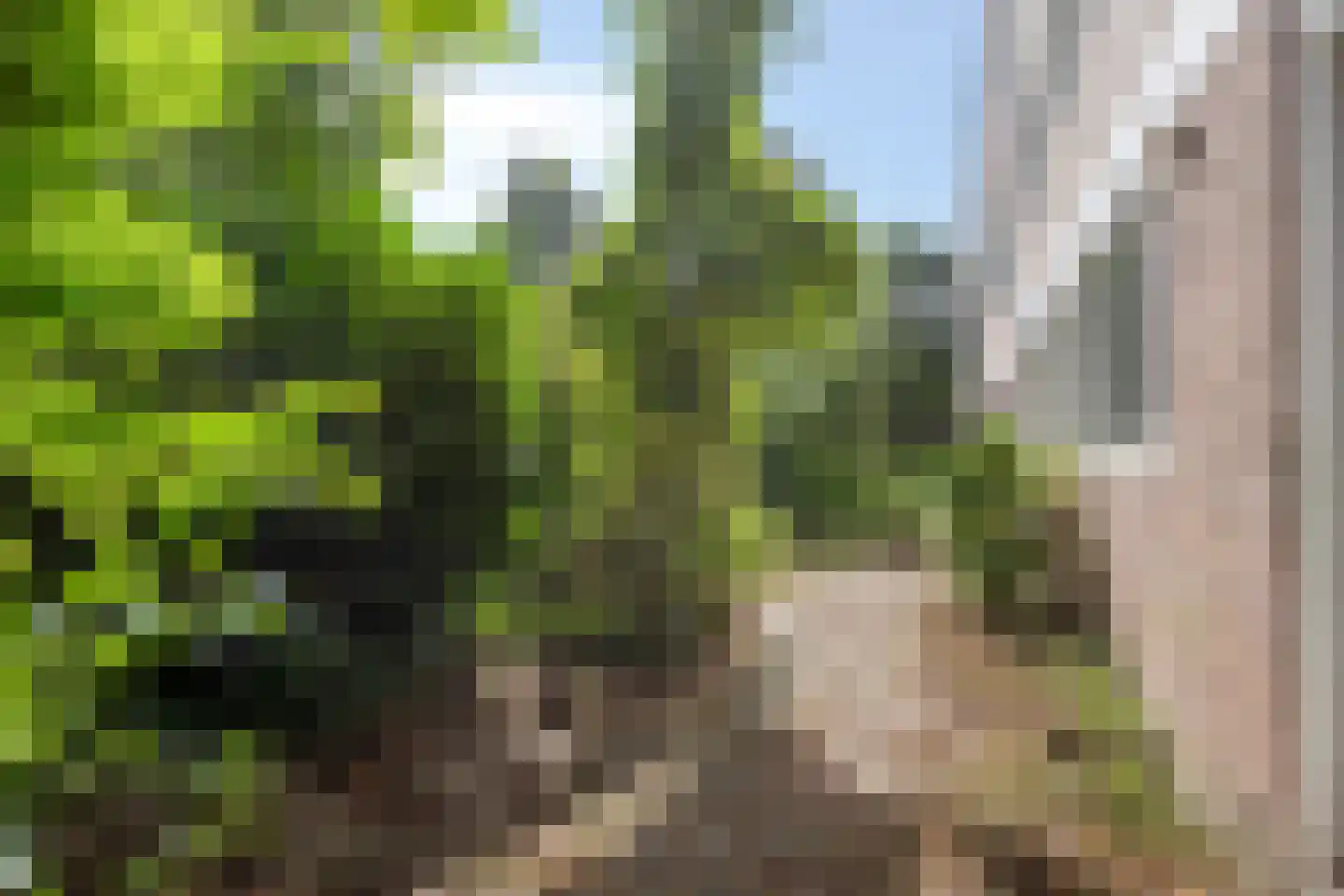 Molenstraat 304 Assen thumbnail 31