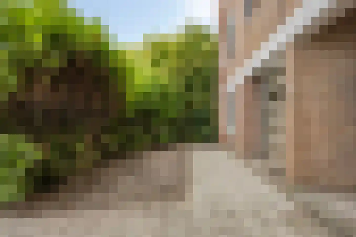Molenstraat 304 Assen thumbnail 7