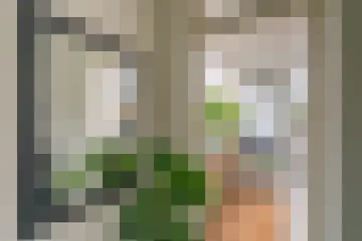 Molenstraat 305 Assen thumbnail 4