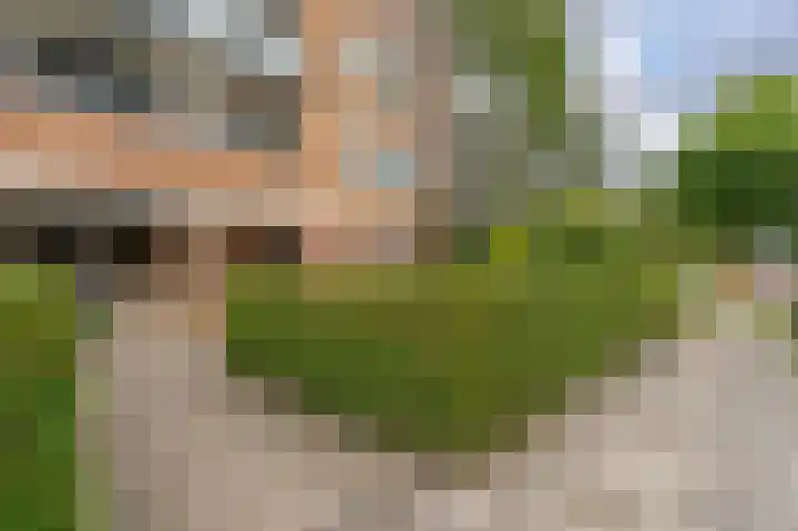 Molenstraat 305 Assen thumbnail 7