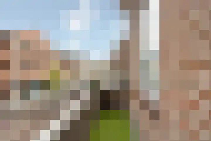 Molenstraat 31 b Zundert thumbnail 12