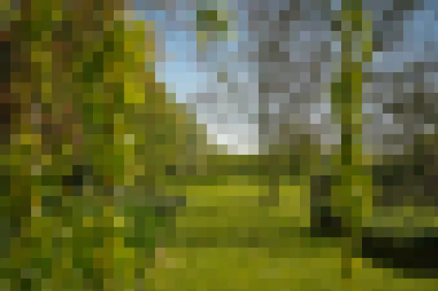 Molenstraat 31 Hurwenen thumbnail 53