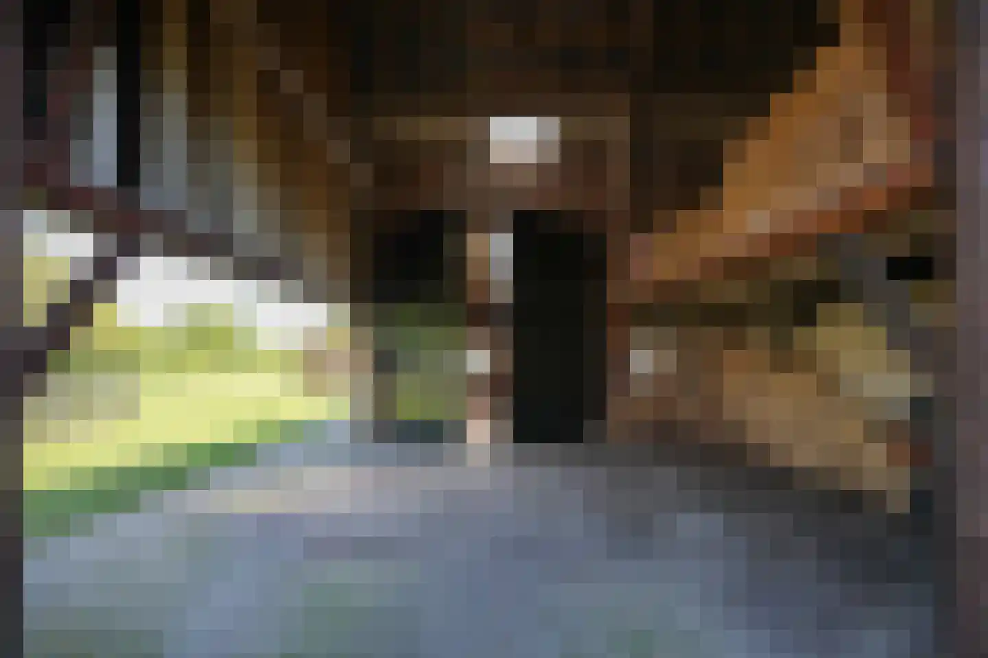 Molenstraat 31 Hurwenen thumbnail 61