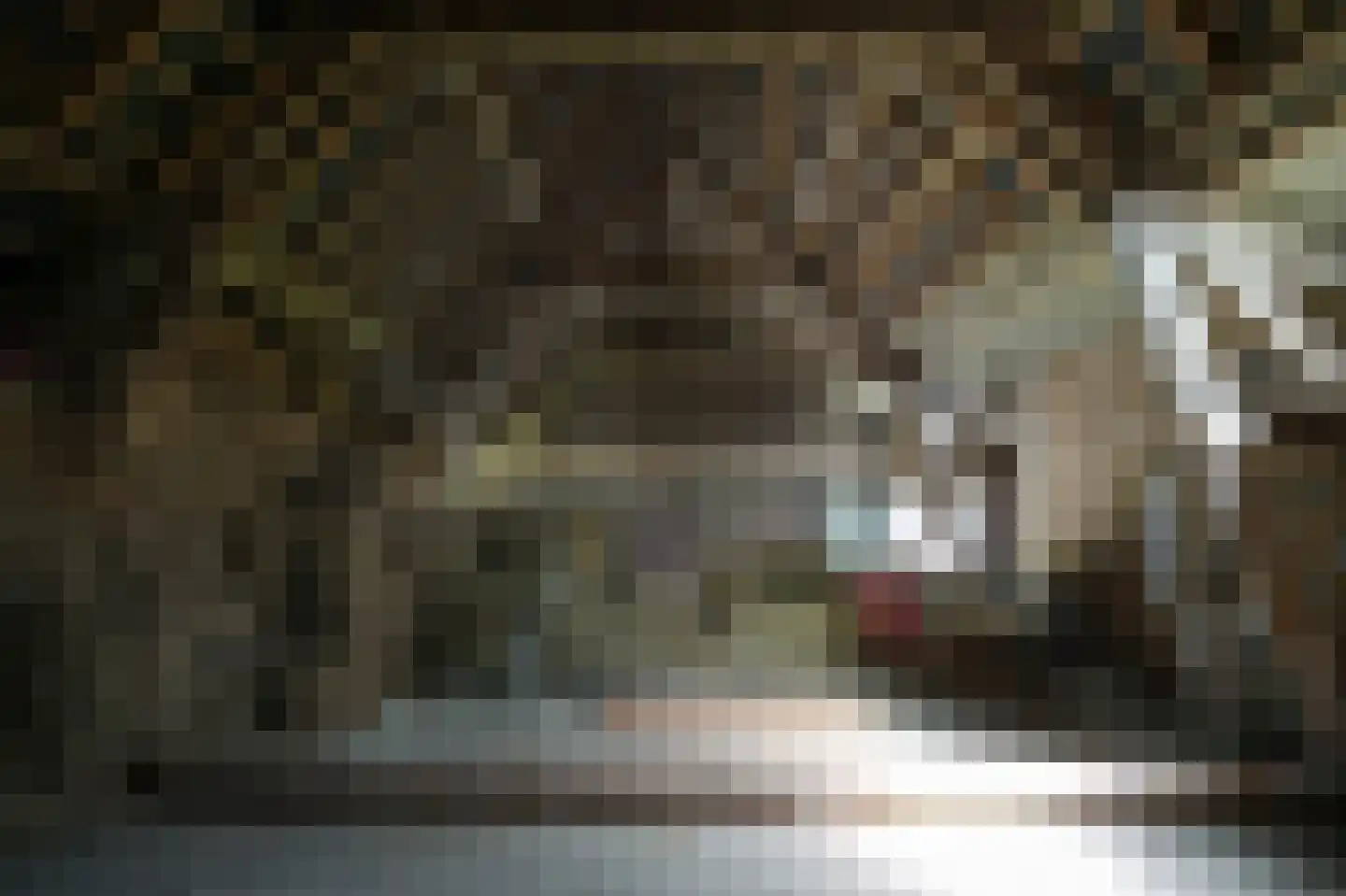 Molenstraat 31 Hurwenen thumbnail 63