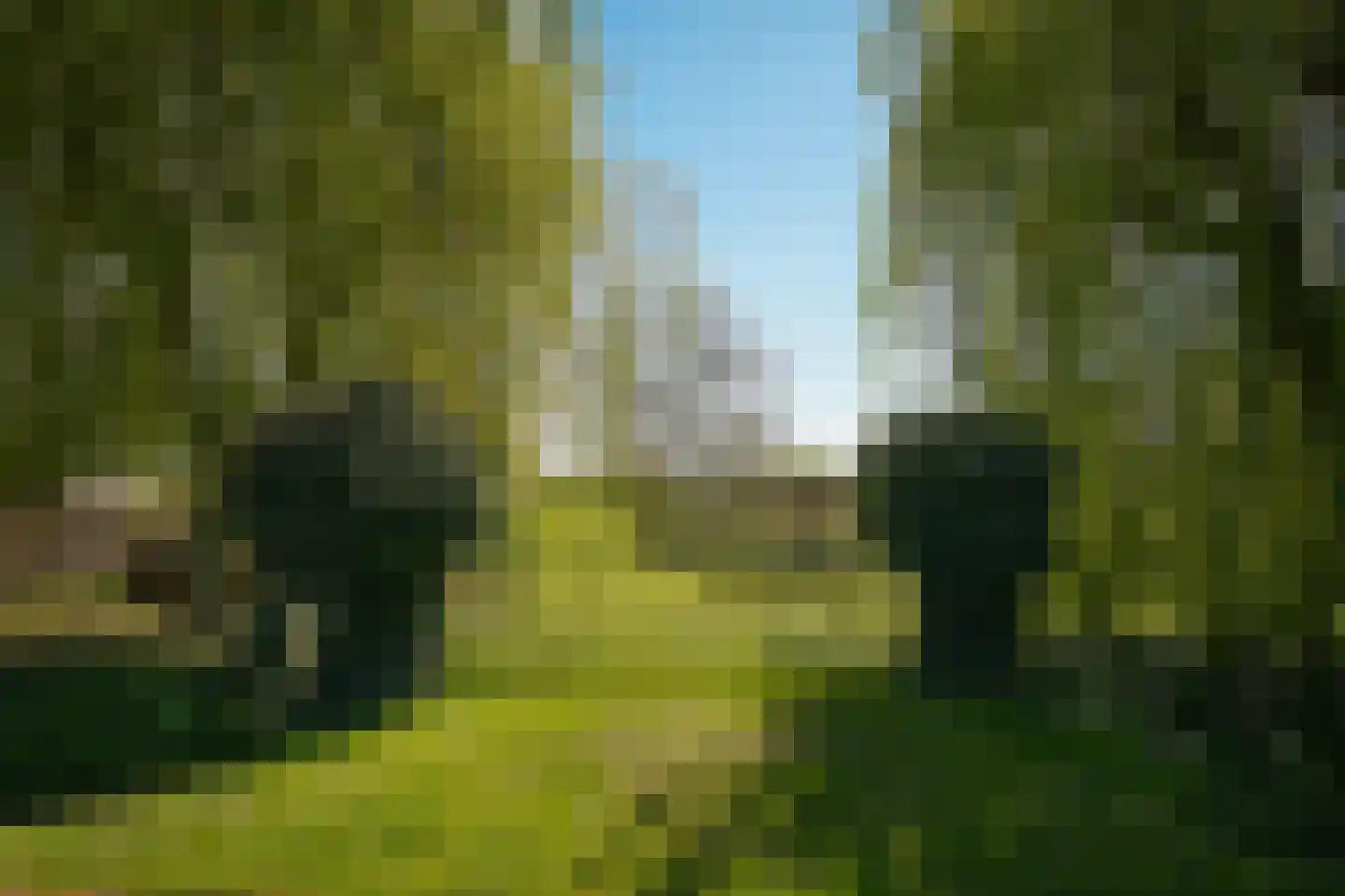 Molenstraat 31 Hurwenen thumbnail 76