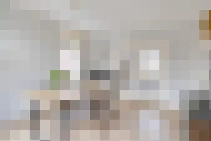 Molenstraat 31 Losser thumbnail 13