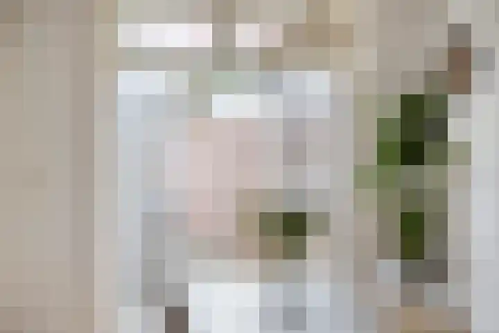 Molenstraat 31 Losser thumbnail 17