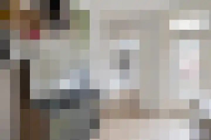 Molenstraat 31 Losser thumbnail 18