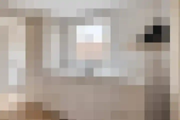 Molenstraat 31 Losser thumbnail 21