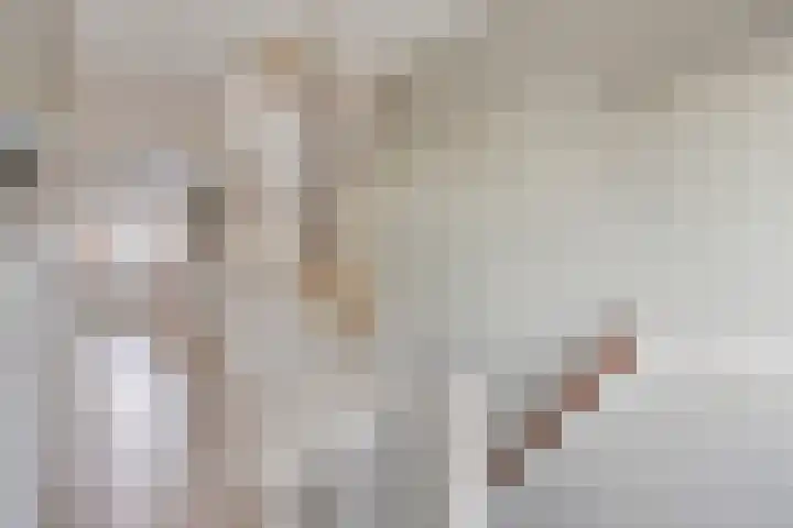 Molenstraat 31 Losser thumbnail 24