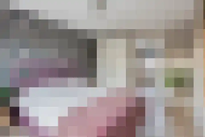 Molenstraat 31 Losser thumbnail 26