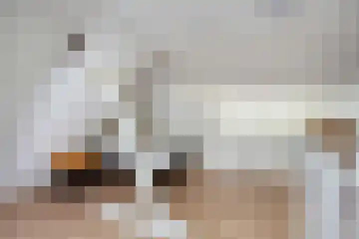 Molenstraat 31 Losser thumbnail 30