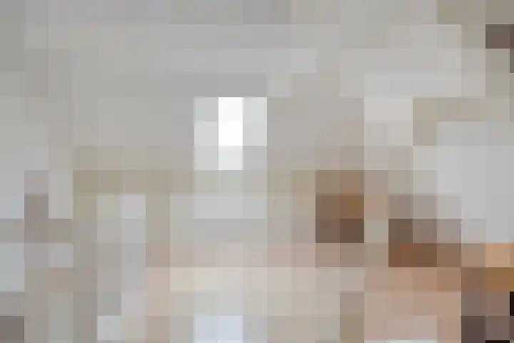 Molenstraat 31 Losser thumbnail 32