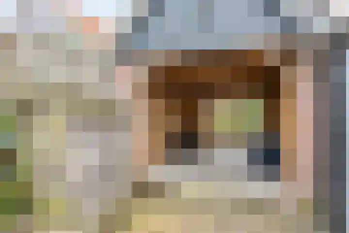 Molenstraat 31 Losser thumbnail 37