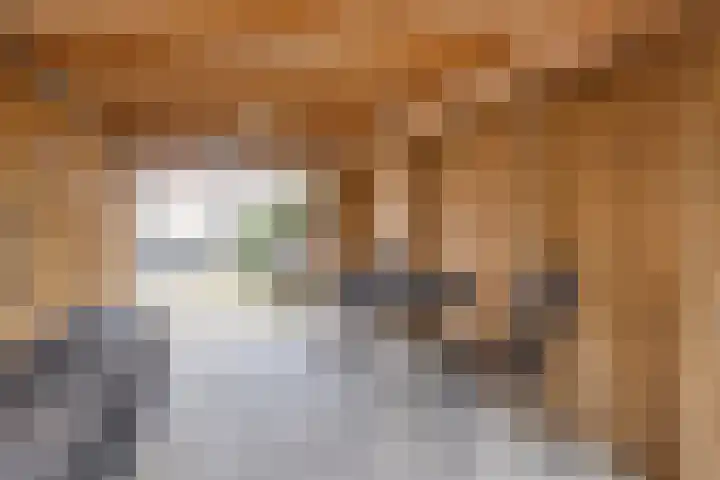 Molenstraat 31 Losser thumbnail 38