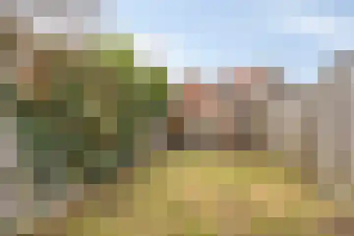 Molenstraat 31 Losser thumbnail 40