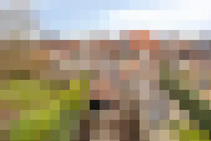 Molenstraat 31 Losser thumbnail 41