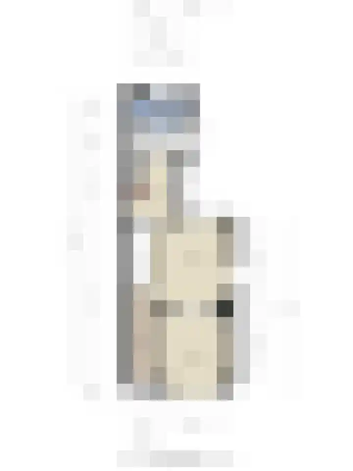 Molenstraat 31 Losser thumbnail 43