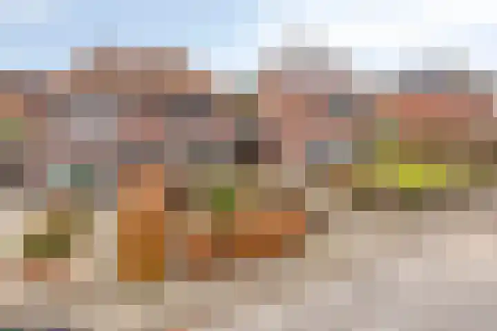 Molenstraat 31 Losser thumbnail 6