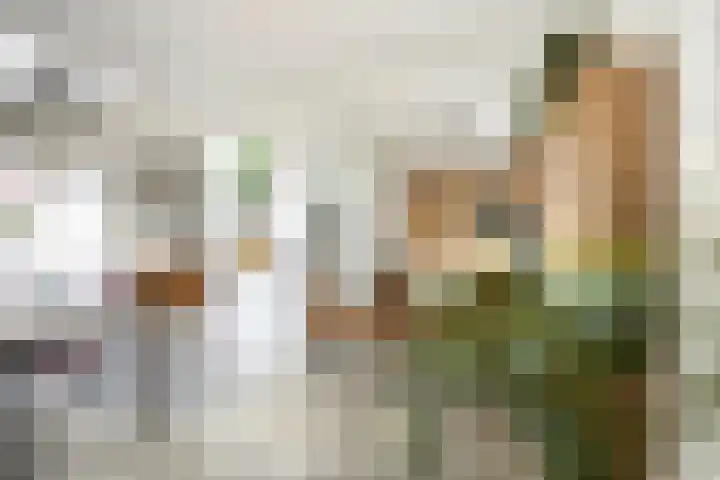 Molenstraat 31 Mill thumbnail 10