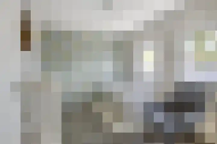 Molenstraat 31 Mill thumbnail 16