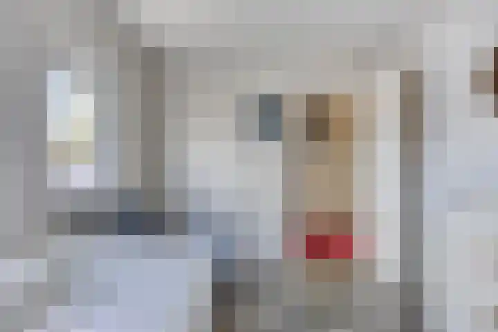 Molenstraat 31 Mill thumbnail 17