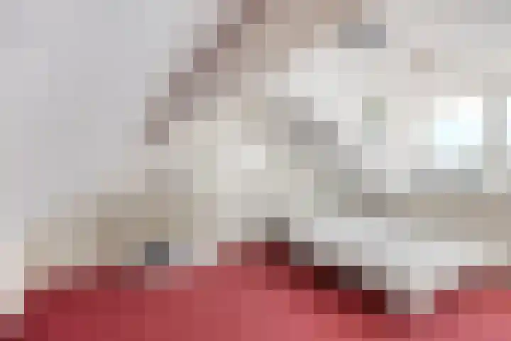 Molenstraat 31 Mill thumbnail 22