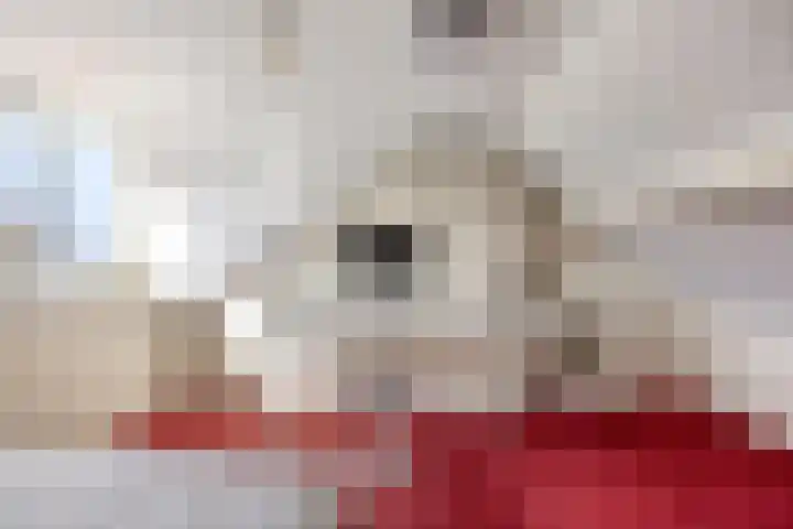 Molenstraat 31 Mill thumbnail 23
