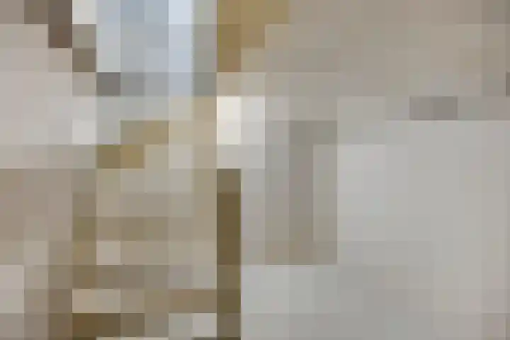 Molenstraat 31 Mill thumbnail 24