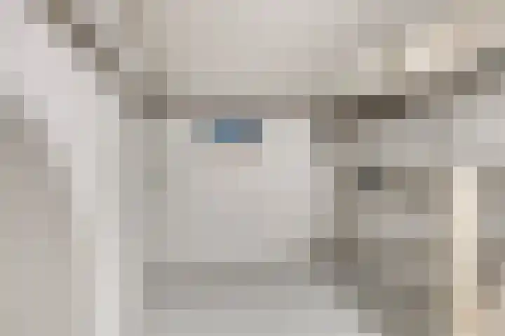 Molenstraat 31 Mill thumbnail 25