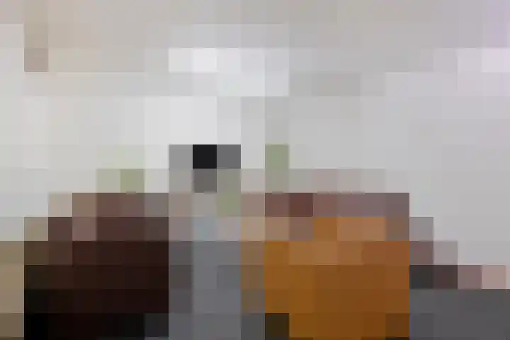 Molenstraat 31 Mill thumbnail 26