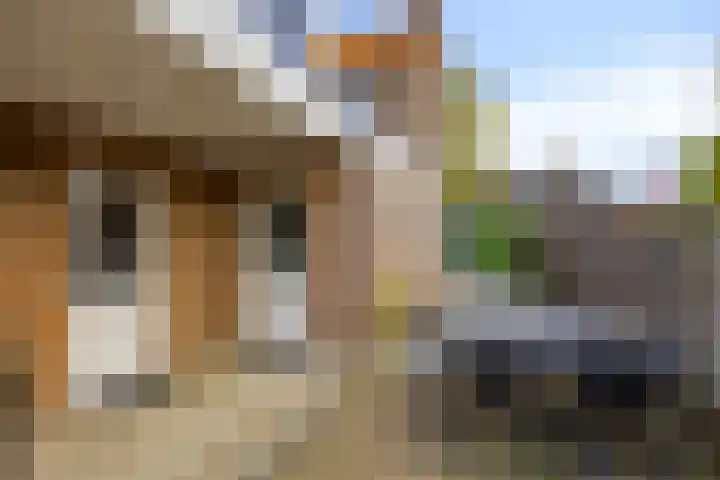Molenstraat 31 Mill thumbnail 31