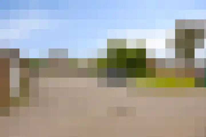 Molenstraat 31 Mill thumbnail 35