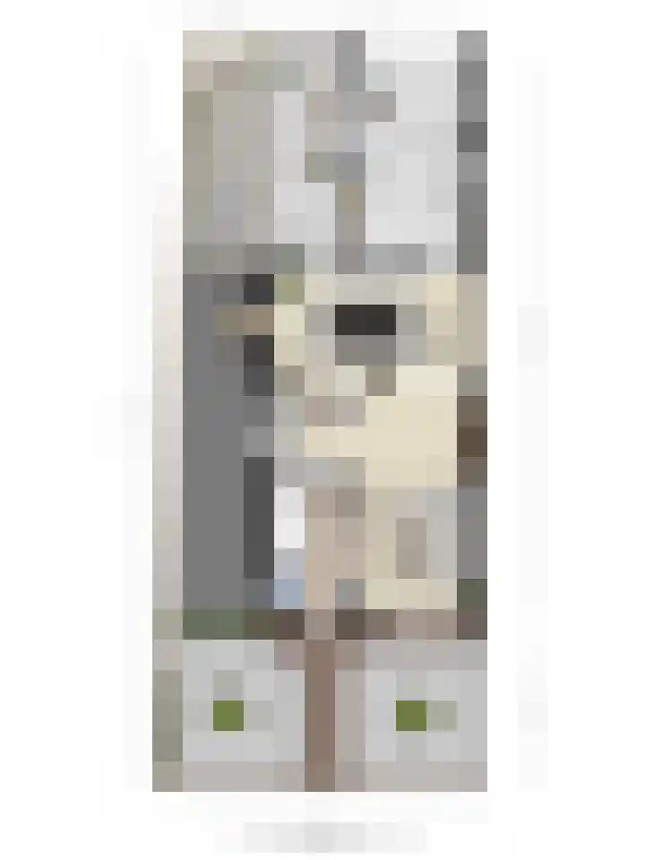 Molenstraat 31 Mill thumbnail 37