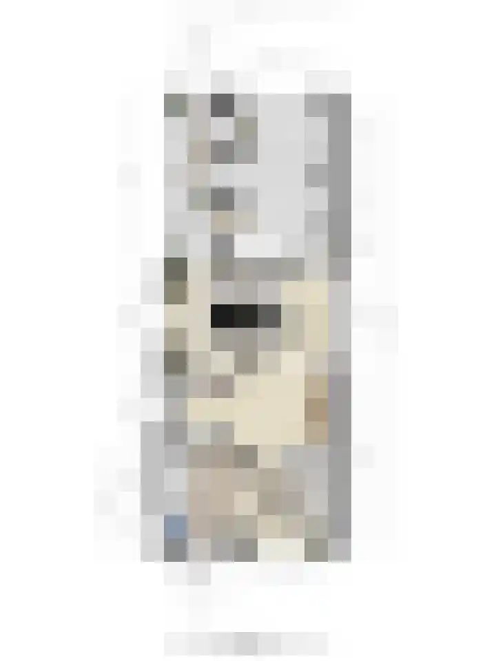 Molenstraat 31 Mill thumbnail 38