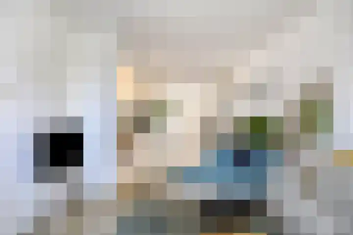Molenstraat 31 Mill thumbnail 4