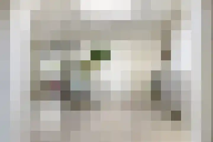 Molenstraat 31 Mill thumbnail 7