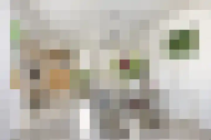 Molenstraat 31 Mill thumbnail 8