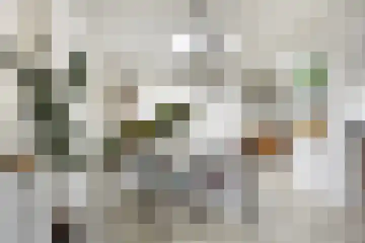 Molenstraat 31 Mill thumbnail 9